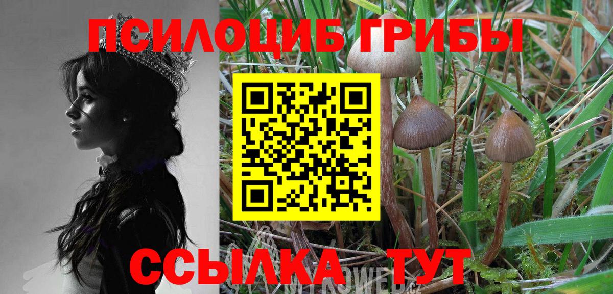  Cocaine Гусиноозёрск